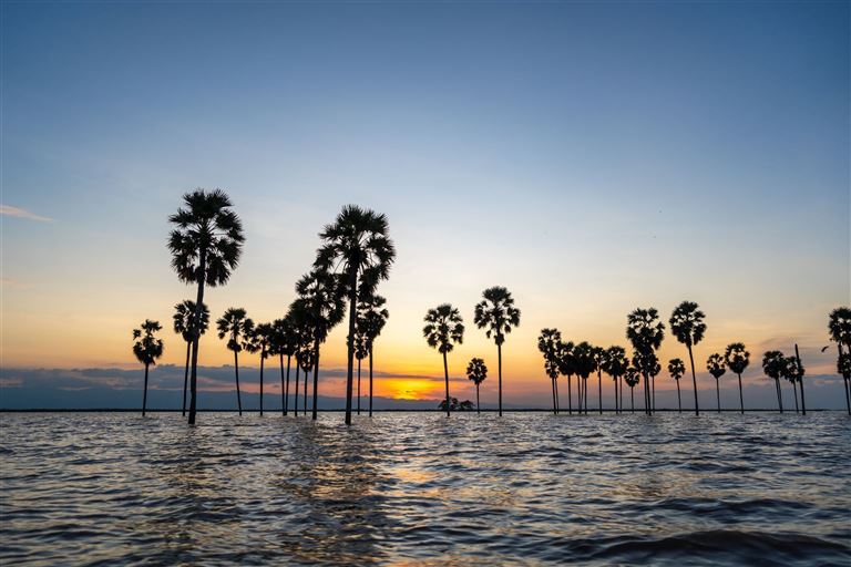 Indonesien intensiv  ©daboost/istock